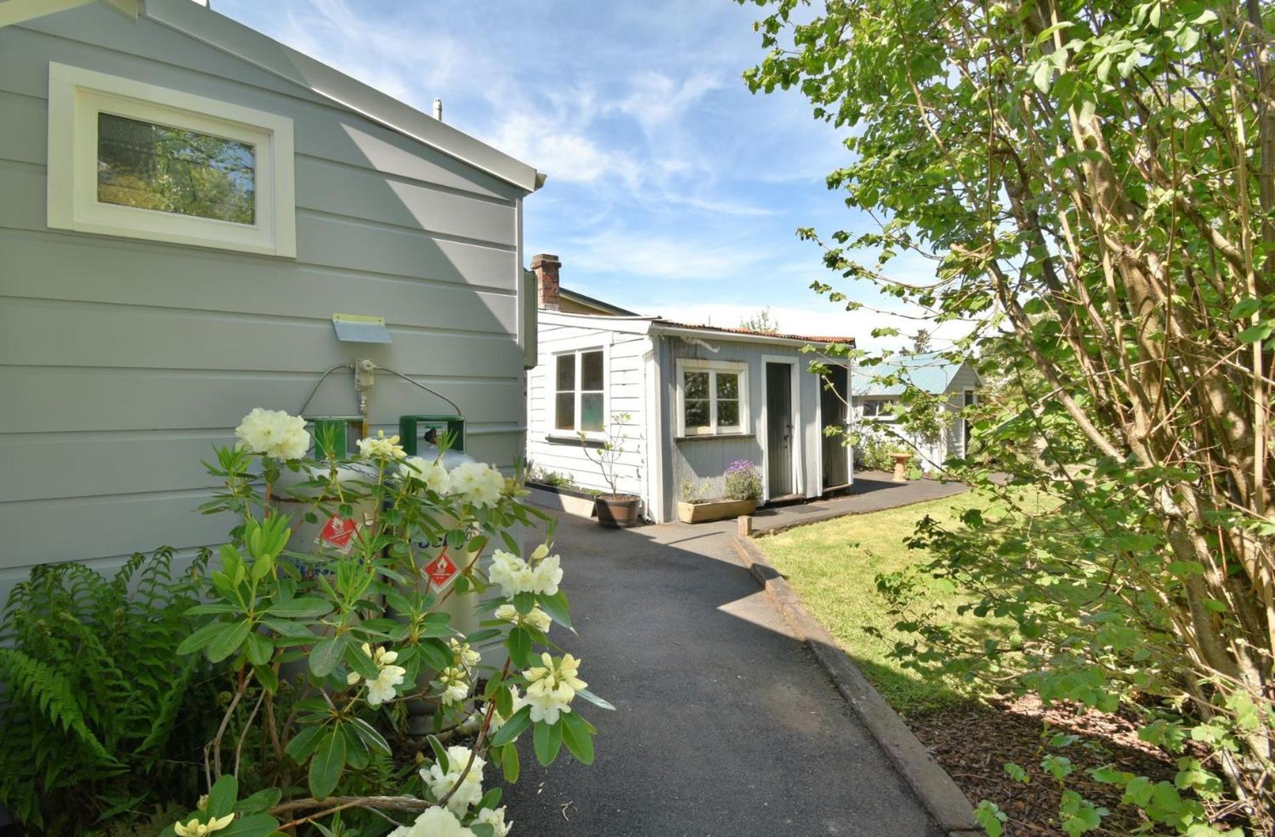 In Dunedin'S Heart, Full House, Full Sun, Full Chill, Why Stay At A Hotel When You Can Afford An Entire House 외부 사진