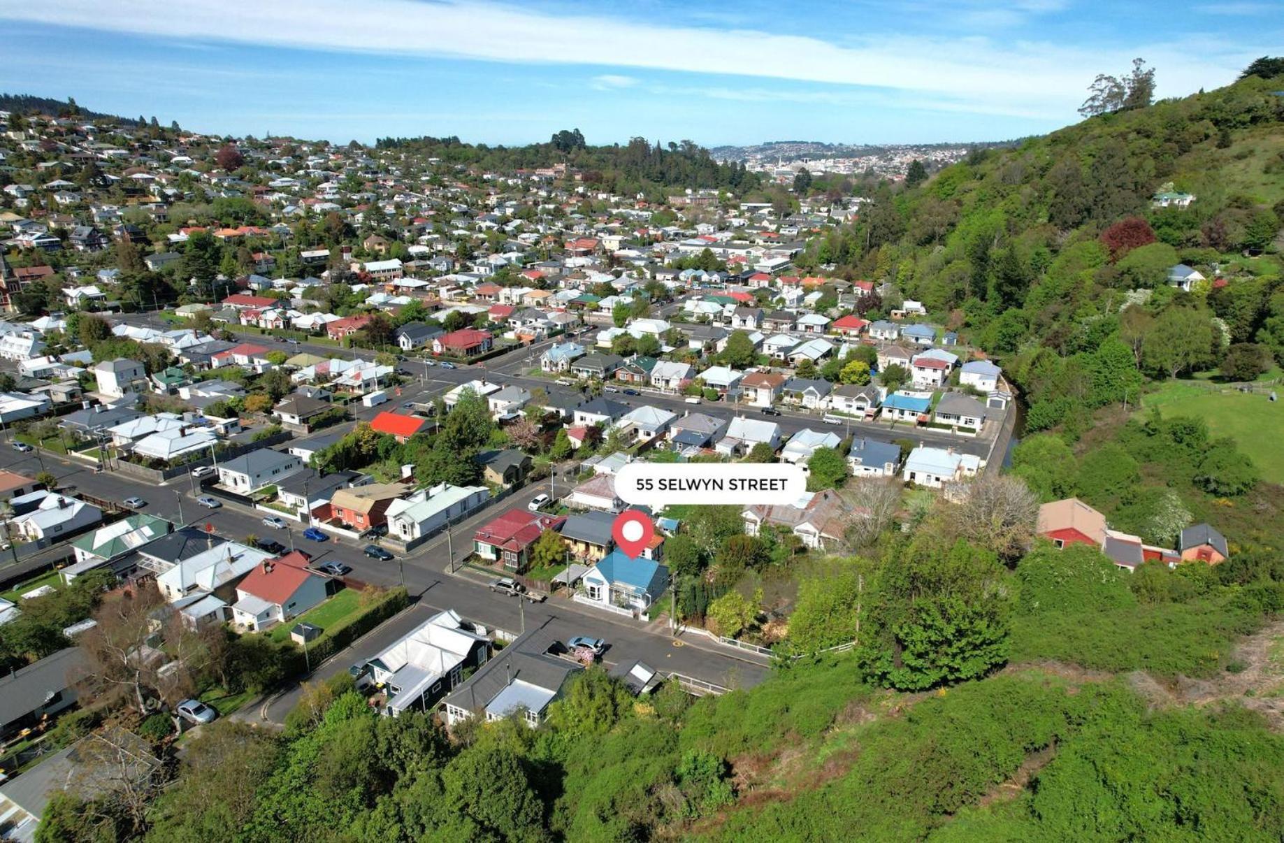 In Dunedin'S Heart, Full House, Full Sun, Full Chill, Why Stay At A Hotel When You Can Afford An Entire House 외부 사진