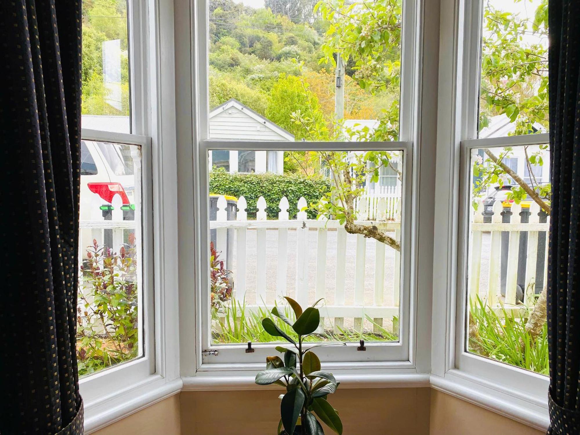 In Dunedin'S Heart, Full House, Full Sun, Full Chill, Why Stay At A Hotel When You Can Afford An Entire House 외부 사진