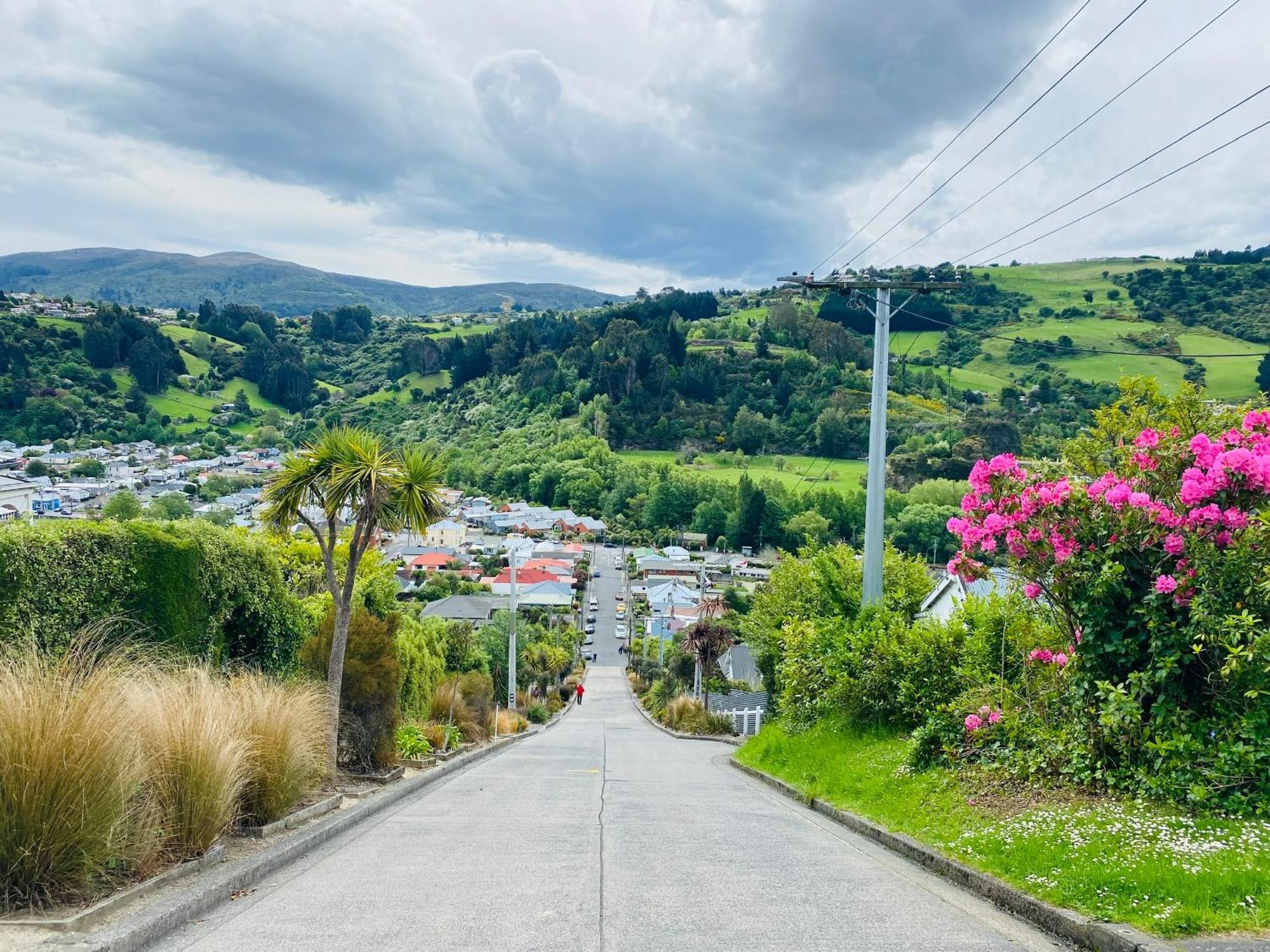 In Dunedin'S Heart, Full House, Full Sun, Full Chill, Why Stay At A Hotel When You Can Afford An Entire House 외부 사진